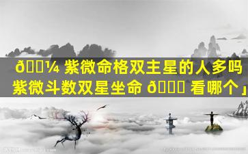 🌼 紫微命格双主星的人多吗「紫微斗数双星坐命 💐 看哪个」
